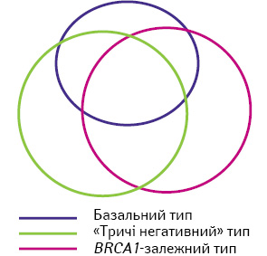 Рис. 2. Відношення базального «тричі негативного» та BRCA1-залежного раку грудної залози [7] 