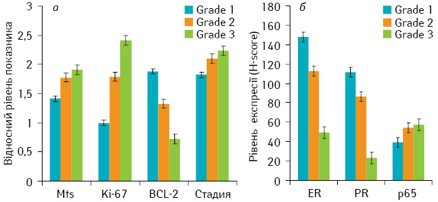 Рис. 1. Кореляція між ступенем диференціювання пухлини (Grade) та: а) статусом лімфовузлів, клінічною стадією, рівнем експресії Ki-67 та Bcl-2; б) рівнем експресії ER, PR та p65. Mts — метастази