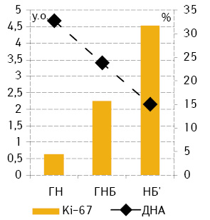 Рис. 1. Вміст ДНК (у. о.) у ядрах клітин НБ та їх відсоток, що експресує Кі-67