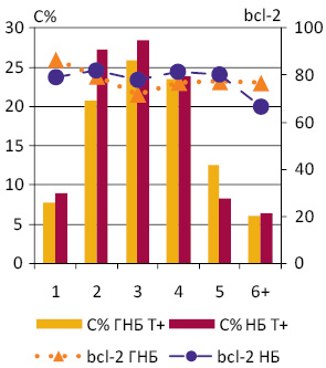 Рис. 2. Відносна кількість клітин різних рангів (С%) в ГНБ Т+ і НБ Т+ та їх відсоток, що експресує bcl-2 (% мічених клітин)