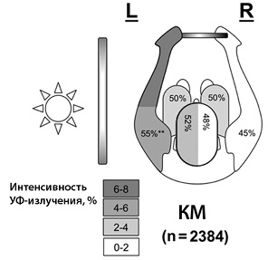 Рис. 1. Частота возникновения КМ в зависимости от интенсивности УФ-излучения [24]
