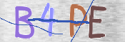 CAPTCHA Image